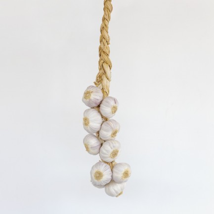 Treccia aglio rosso di Nubia - 10 teste grandi - Aglio di Nubia