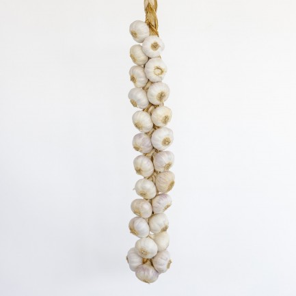 Treccia aglio rosso di Nubia - 25 teste piccole - Aglio di Nubia