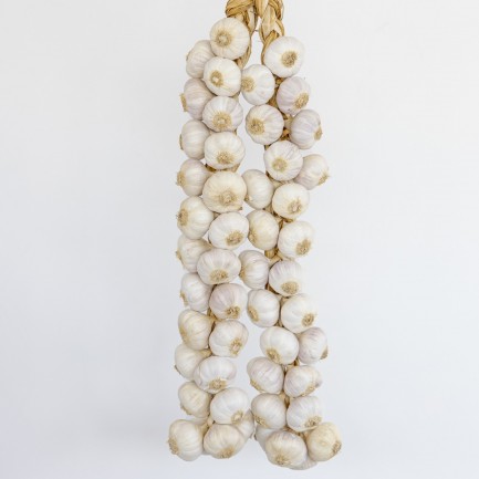 Treccia aglio rosso di Nubia - 50 teste grandi - Aglio di Nubia